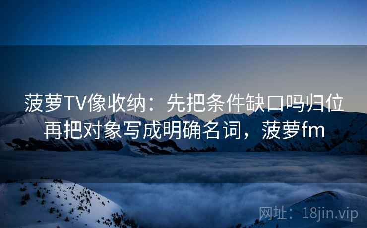 菠萝TV像收纳：先把条件缺口吗归位再把对象写成明确名词，菠萝fm